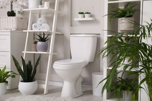 Cost of Toilet Repair in Dublin