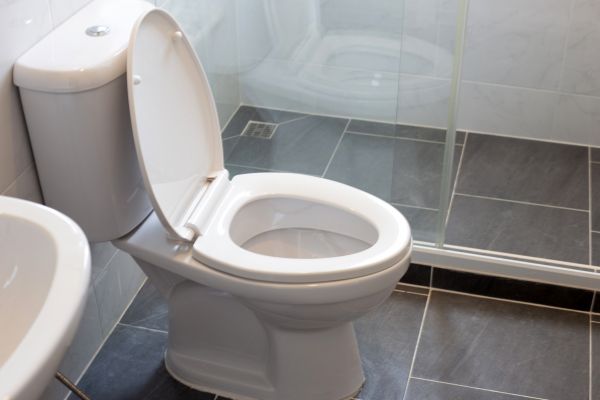 Toilet Replacement in Dublin